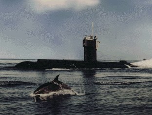 Submarine on the surface with a dolphin in the foreground